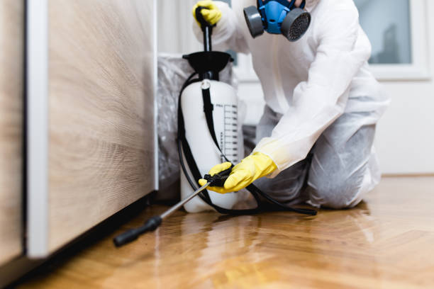 Best Best Pest Control Companies  in Vine Grove, KY