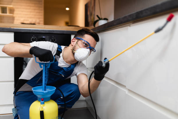 Pest Control for Restaurants in Vine Grove, KY