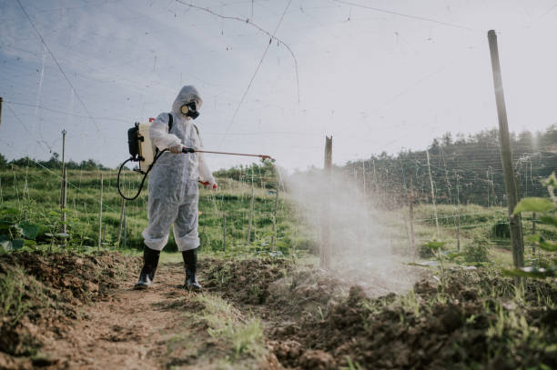 Best Best Pest Control Companies  in Vine Grove, KY