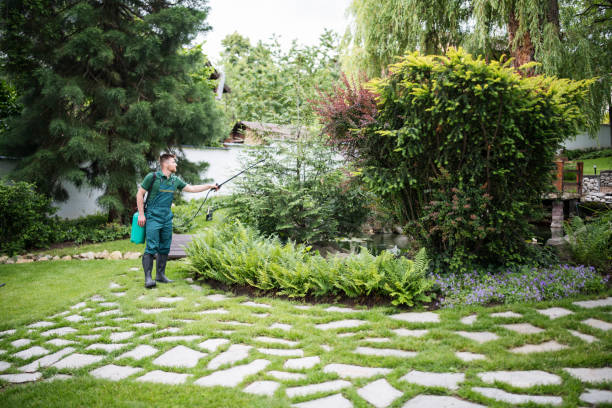 Pest Prevention Services in Vine Grove, KY