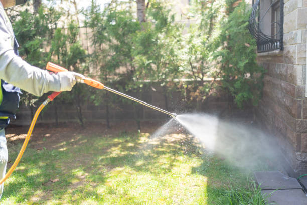 Best Local Pest Control Services  in Vine Grove, KY