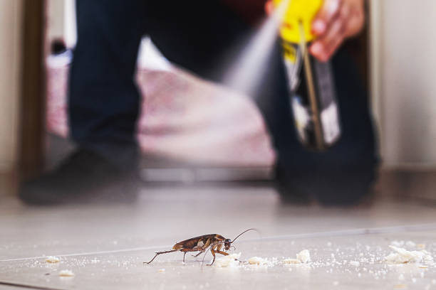 Best Cockroach Control Services  in Vine Grove, KY