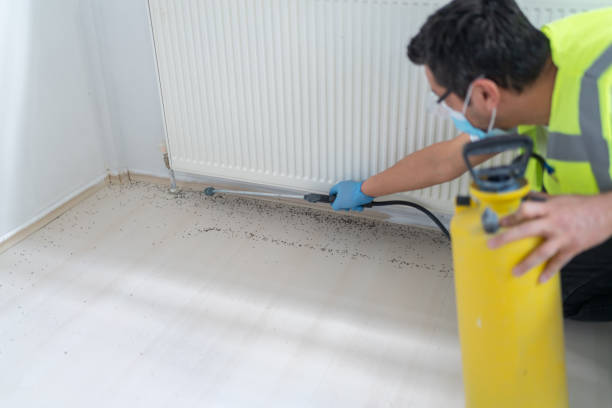 Best Cockroach Control Services  in Vine Grove, KY