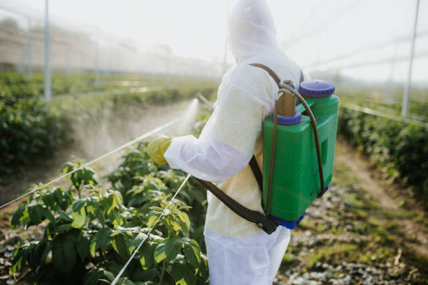 Best Flea Control Services  in Vine Grove, KY